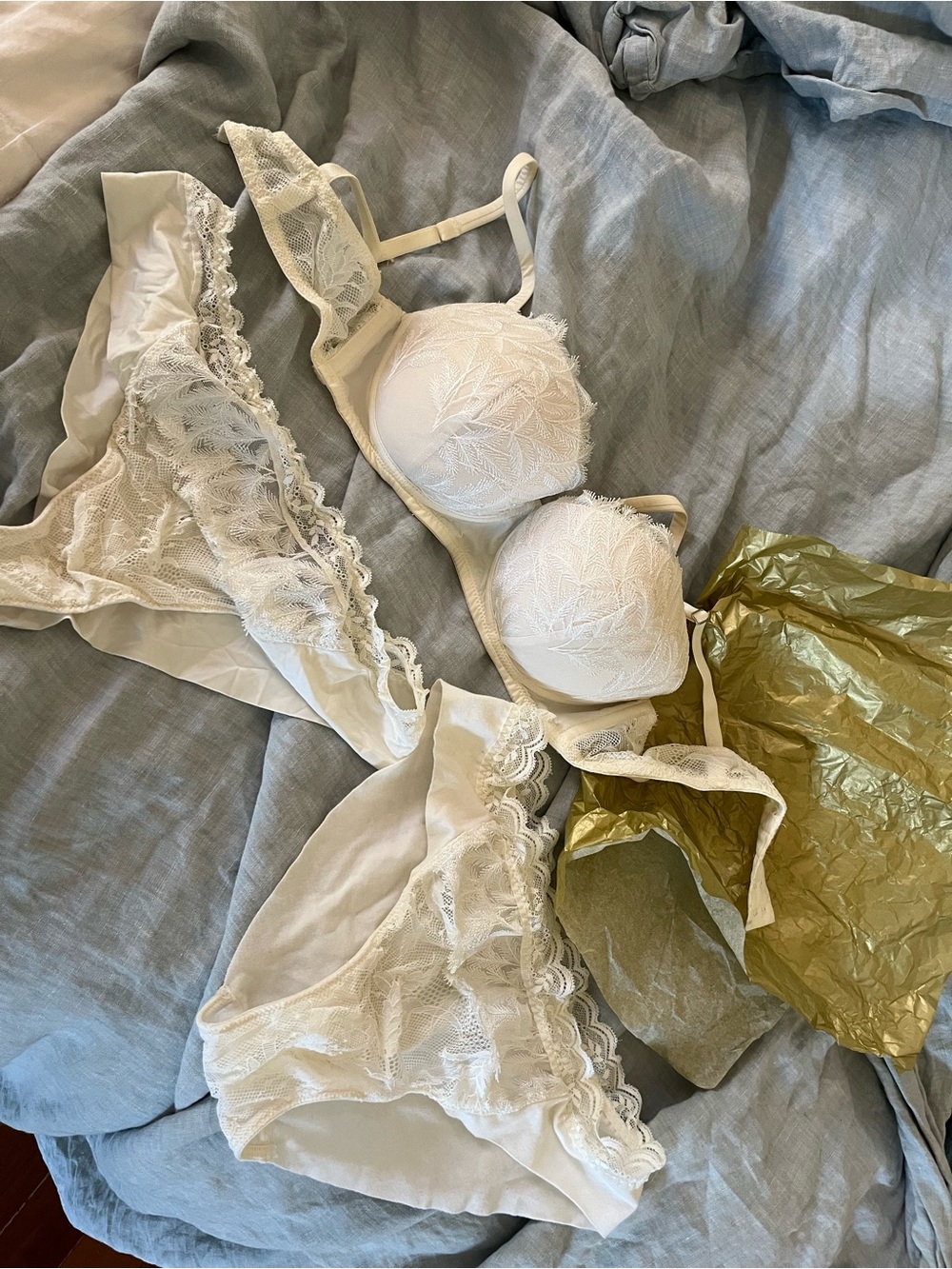 intimissimi “Fly Me To The Moon”Cream Feather Lace Embroidered Bra and Set